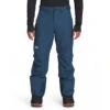 The North Face Men's Freedom Pant